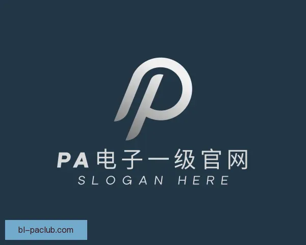 关于PA电子一级官网